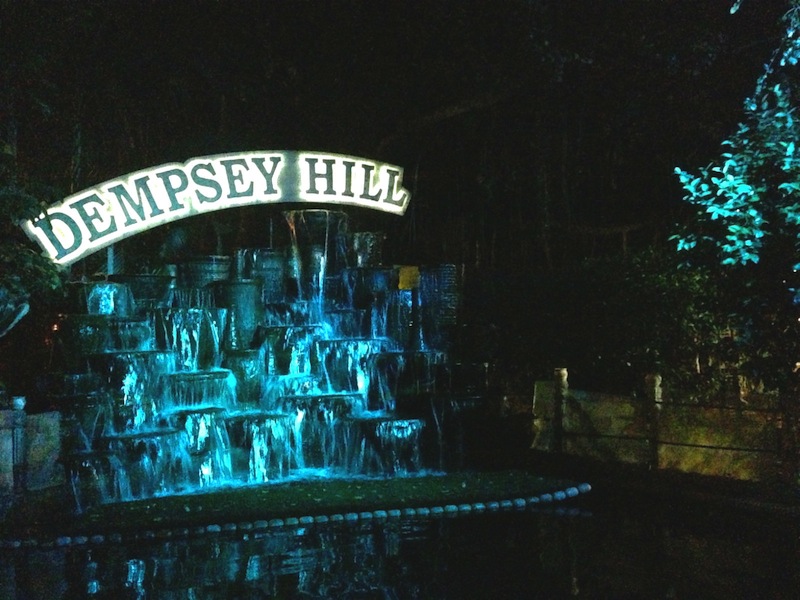 Pond with big fish at Dempsey Hill 