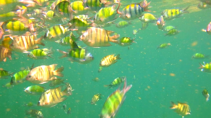 Krabi Four Islands Snorkeling