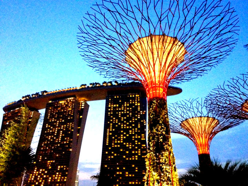 Supertrees at Gardens by the bay