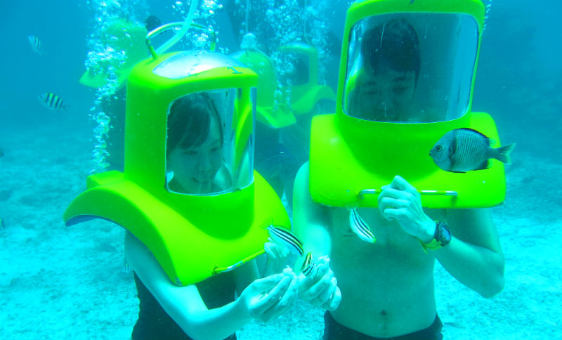 Evan and Raevian feeding fish while Sea Walking