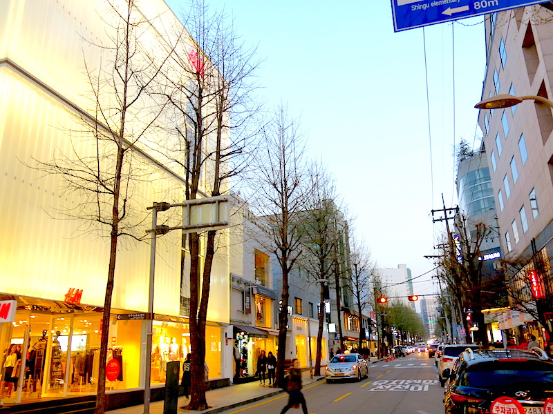 Pretty tree-lined street