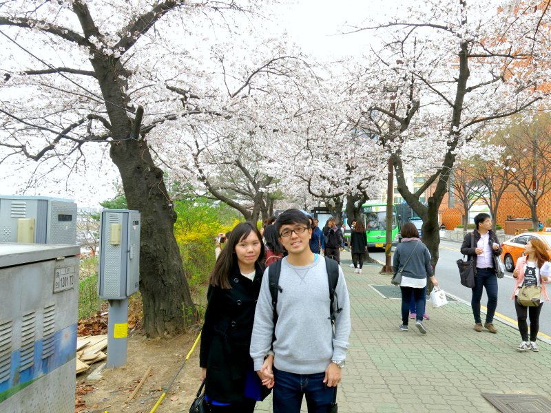 Evan and Raevian under Cherry Blossom Trees