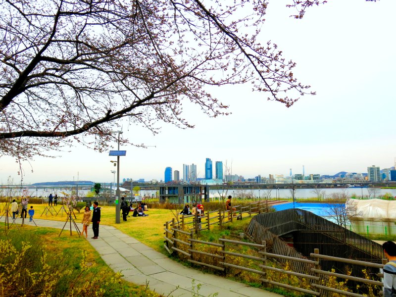 Park overlooking Hangang River and Skyline