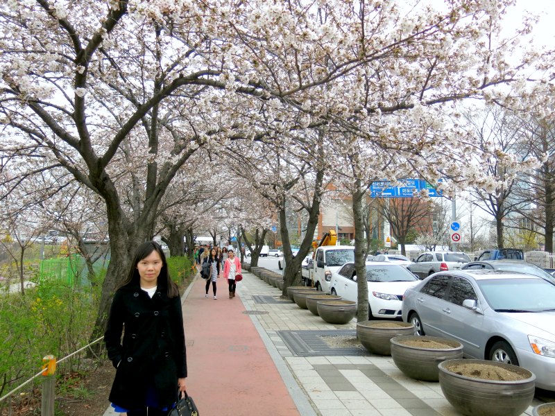 Raevian at Yeouido Hangang Park