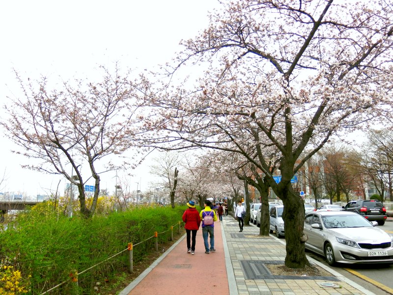 Yunjunro Road